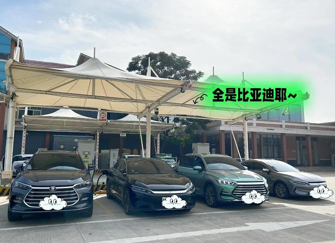 又一起！国产电车跑31万公里被锁电池 车主：续航只剩一半了