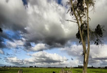 22款奔驰S580黑棕米现车价格配置详解