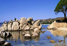 特斯拉洛杉矶餐厅三季度卖出5万个汉堡 超越麦当劳单店销量