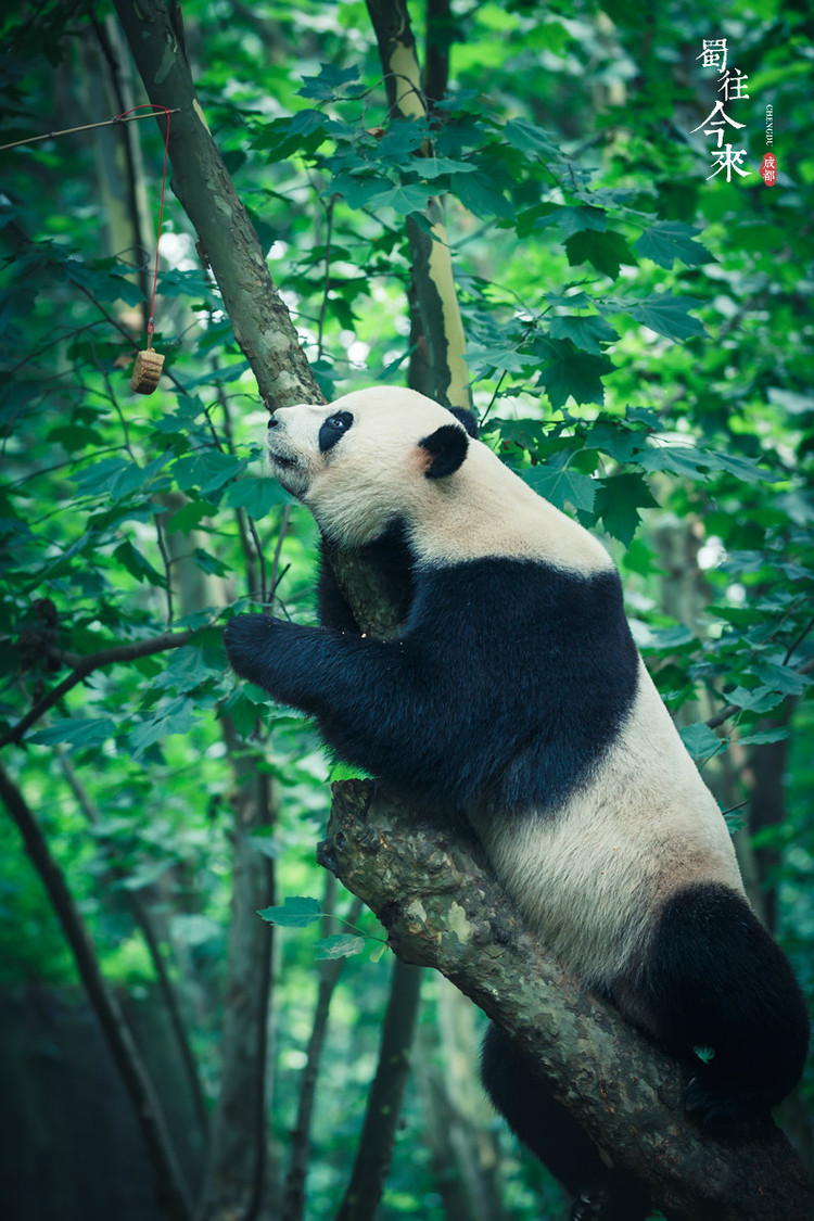 山东“豆橛子”又爆仓了 A00级小汽车塞满豆角 轮胎都压瘪了