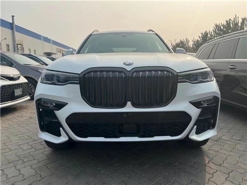 光天化日下两条狗拆了一辆日本车