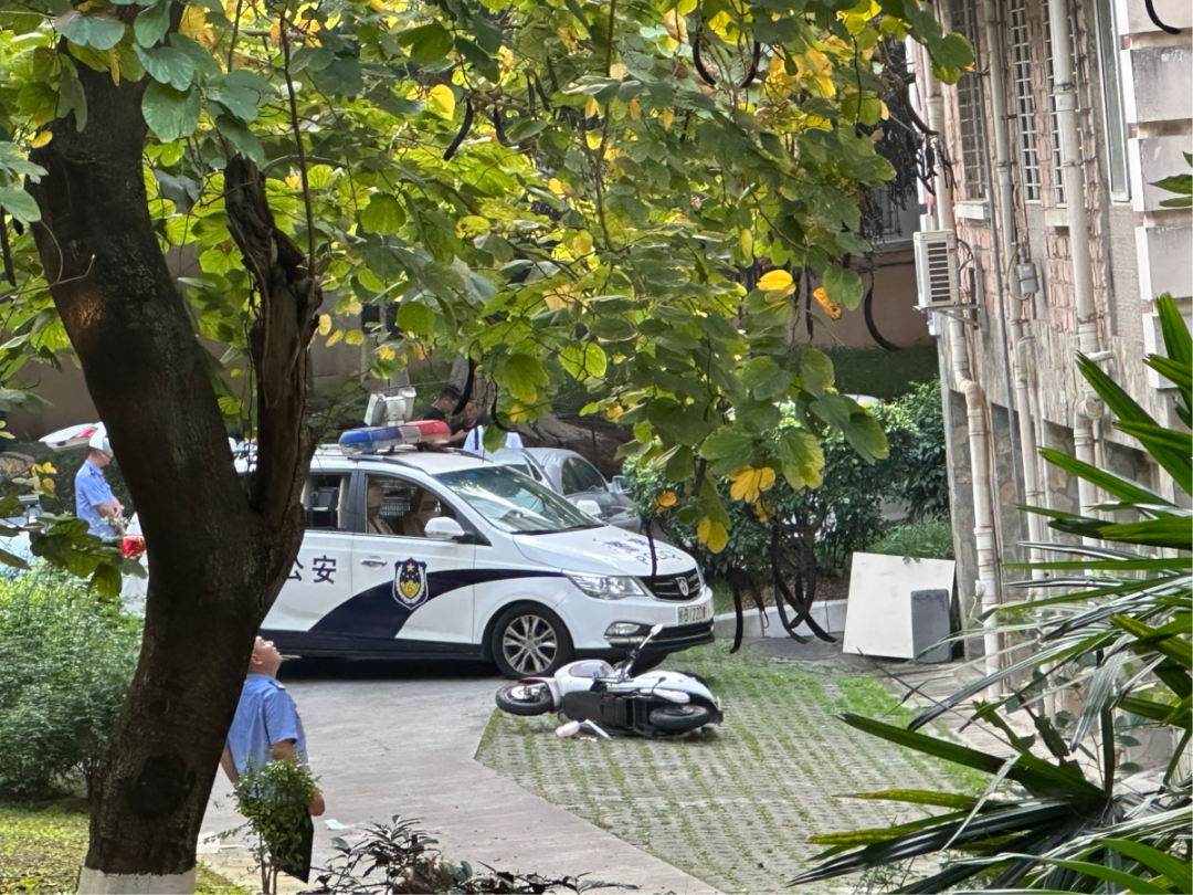 孕妇动车上被行李箱砸伤致早产 官方通报