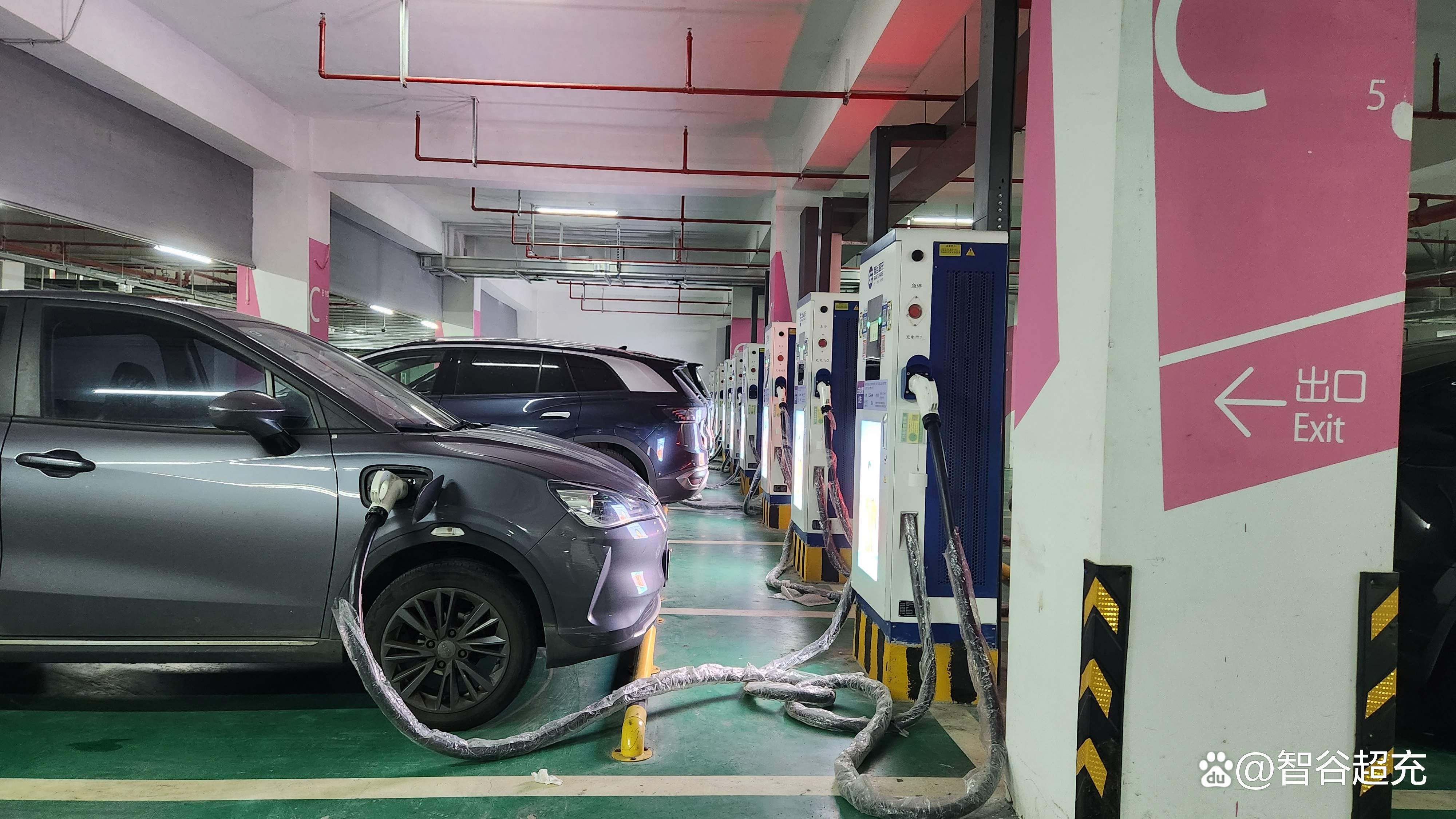 【今年上半年中国进口汽车33万台，同比