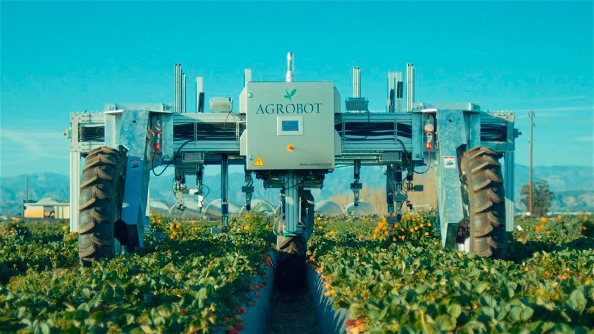 “五菱版RAV4”今年四季度上市 5座/7座可选 星光560官图曝光！